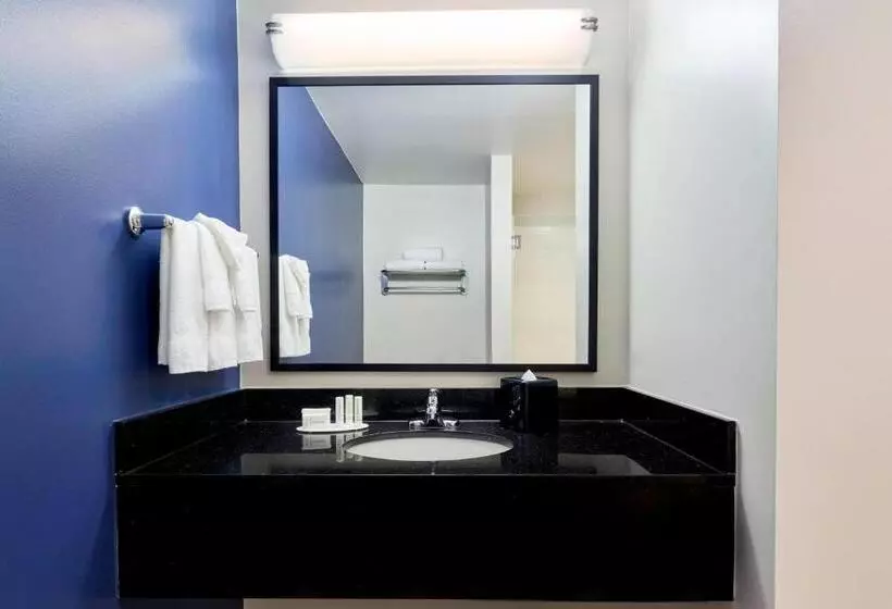 اتاق استاندارد با تخت بزرگ, Fairfield Inn Suites Indianapolis Downtown
