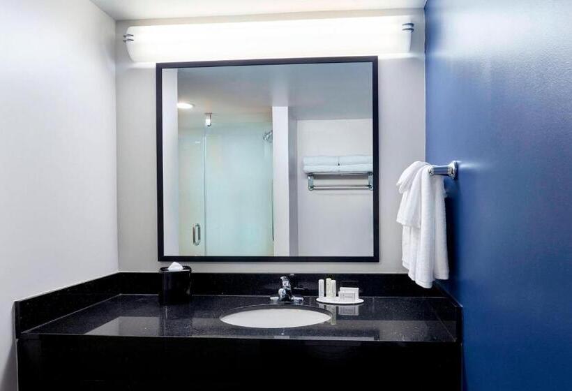 Suíte Cama King, Fairfield Inn Suites Indianapolis Downtown
