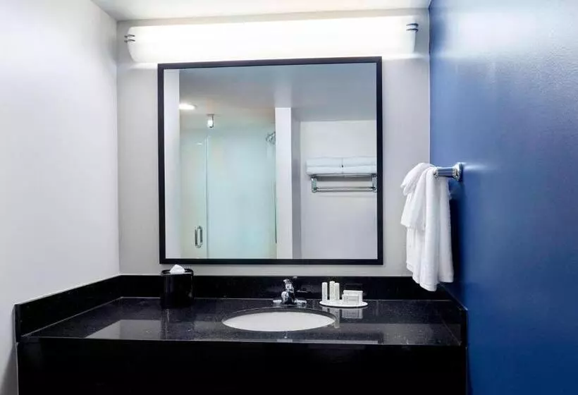 سوئیت با تخت بزرگ, Fairfield Inn Suites Indianapolis Downtown