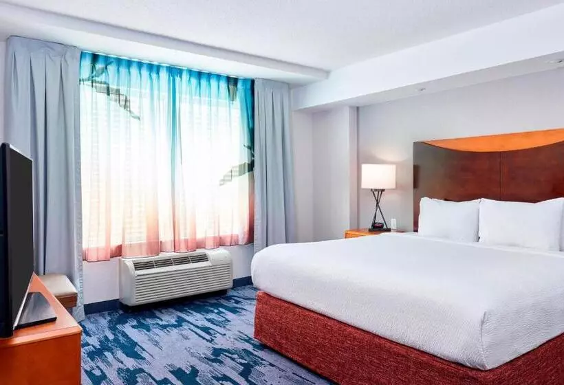سوئیت با تخت بزرگ, Fairfield Inn Suites Indianapolis Downtown