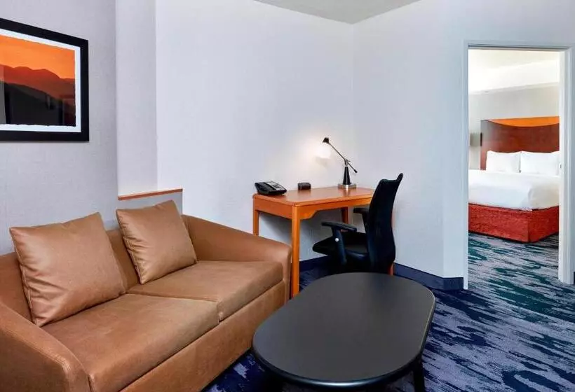 سوئیت با تخت بزرگ, Fairfield Inn Suites Indianapolis Downtown