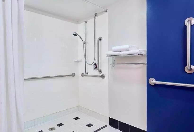 سوئیت با تخت بزرگ, Fairfield Inn Suites Indianapolis Downtown