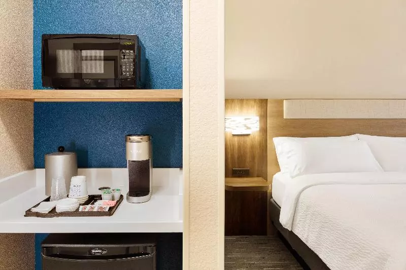 キングサイズベッドのスタンダードルーム, Holiday Inn Express Hotel & Suites Grove City, An Ihg