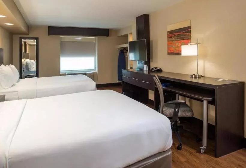 スタンダードルーム, Holiday Inn Express & Suites San Antonio Medical Center North, An Ihg