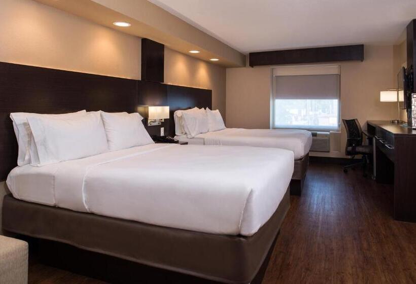스탠다드 룸, Holiday Inn Express & Suites San Antonio Medical Center North, An Ihg