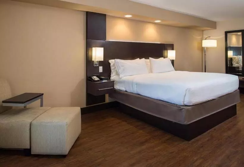 キングサイズベッドのスタンダードルーム, Holiday Inn Express & Suites San Antonio Medical Center North, An Ihg