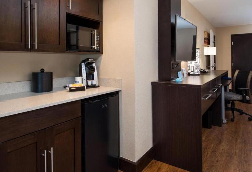 스탠다드 룸 킹사이즈 침대, Holiday Inn Express & Suites San Antonio Medical Center North, An Ihg