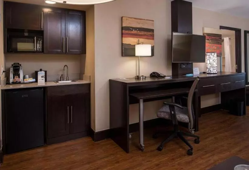キングサイズベッドのスタンダードルーム, Holiday Inn Express & Suites San Antonio Medical Center North, An Ihg