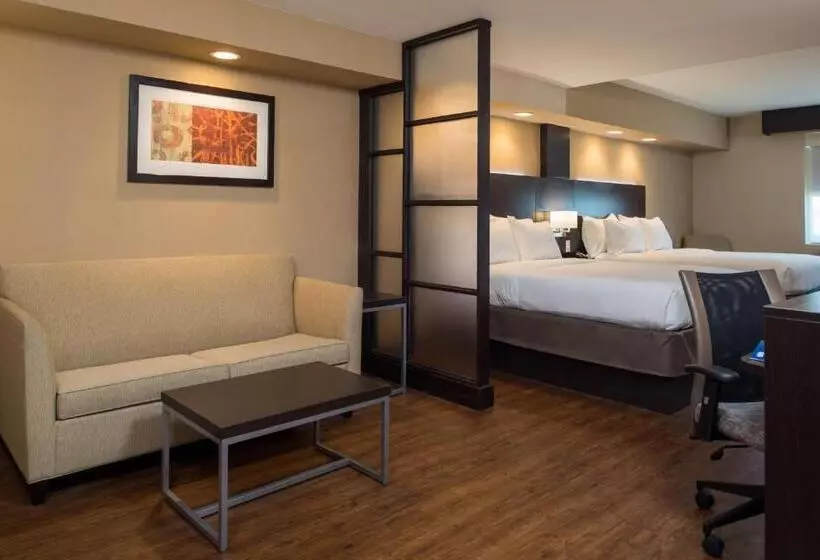 キングサイズベッドのスイートルーム, Holiday Inn Express & Suites San Antonio Medical Center North, An Ihg