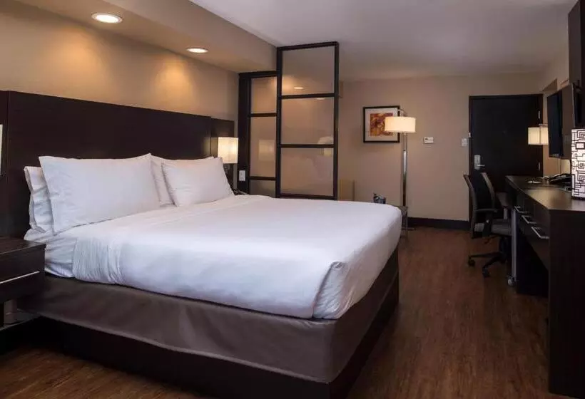 キングサイズベッドのスイートルーム, Holiday Inn Express & Suites San Antonio Medical Center North, An Ihg