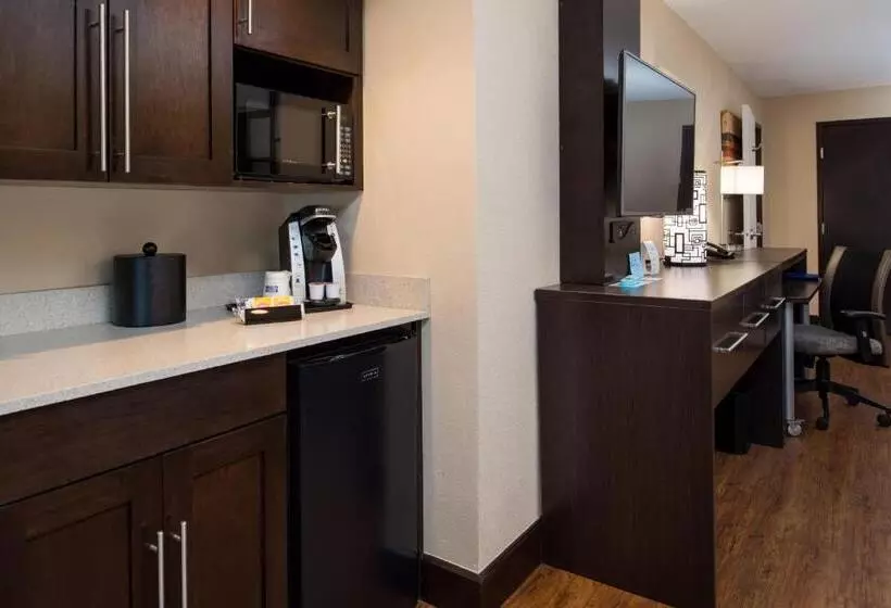 身障者適用キングサイズベッドルーム, Holiday Inn Express & Suites San Antonio Medical Center North, An Ihg