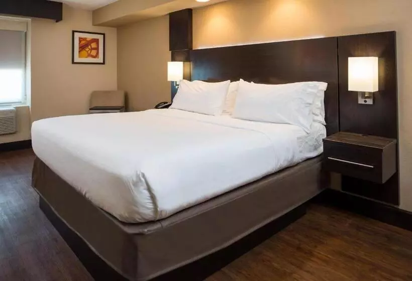 身障者適用キングサイズベッドルーム, Holiday Inn Express & Suites San Antonio Medical Center North, An Ihg