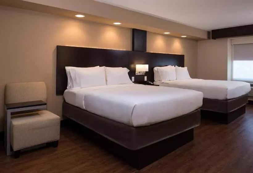身障者適用スタンダードルーム, Holiday Inn Express & Suites San Antonio Medical Center North, An Ihg