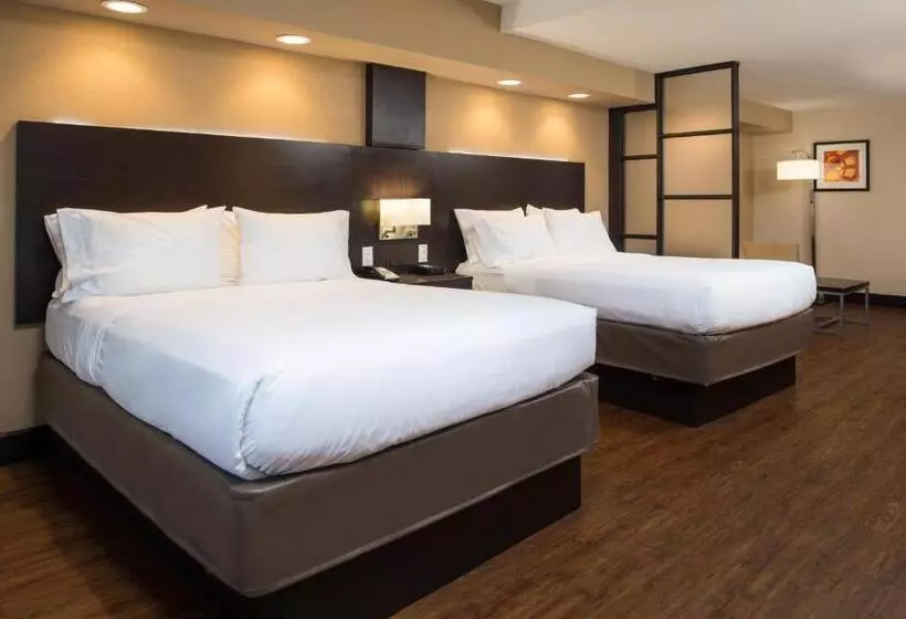 身障者適用スタンダードルーム, Holiday Inn Express & Suites San Antonio Medical Center North, An Ihg