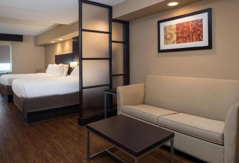 스위트, Holiday Inn Express & Suites San Antonio Medical Center North, An Ihg
