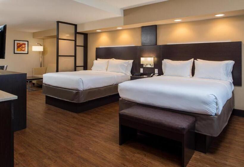 스위트, Holiday Inn Express & Suites San Antonio Medical Center North, An Ihg