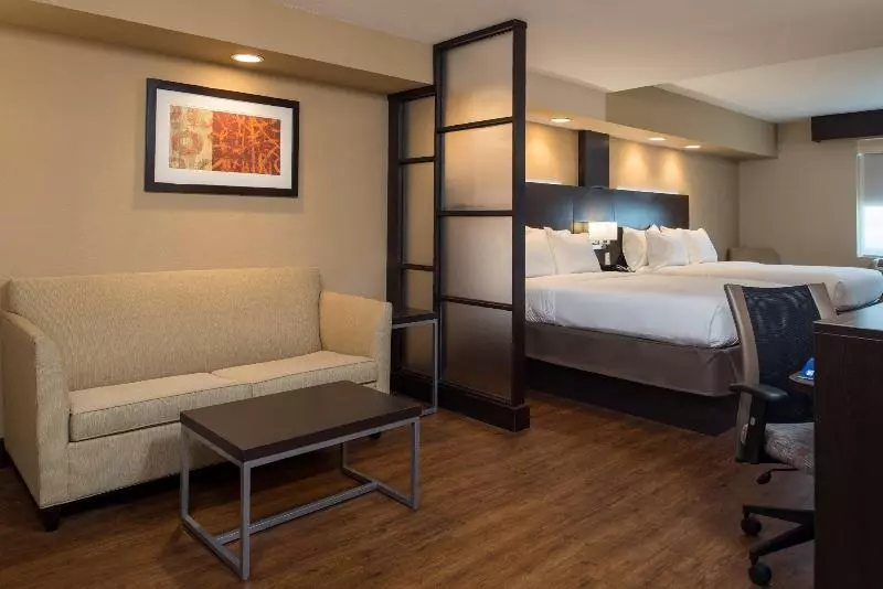 キングサイズベッドのスイートルーム, Holiday Inn Express & Suites San Antonio Medical Center North, An Ihg