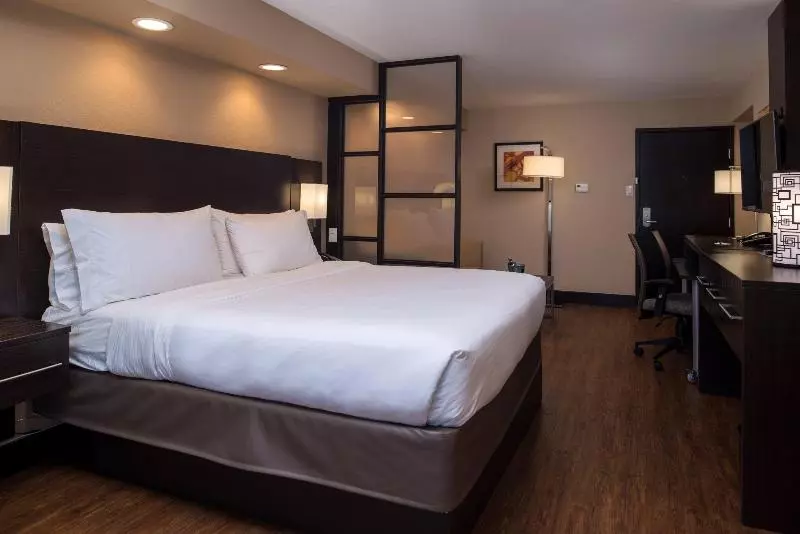 キングサイズベッドのスイートルーム, Holiday Inn Express & Suites San Antonio Medical Center North, An Ihg