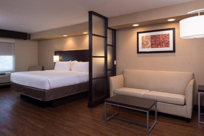 带大床的套房, Holiday Inn Express & Suites San Antonio Medical Center North, An Ihg