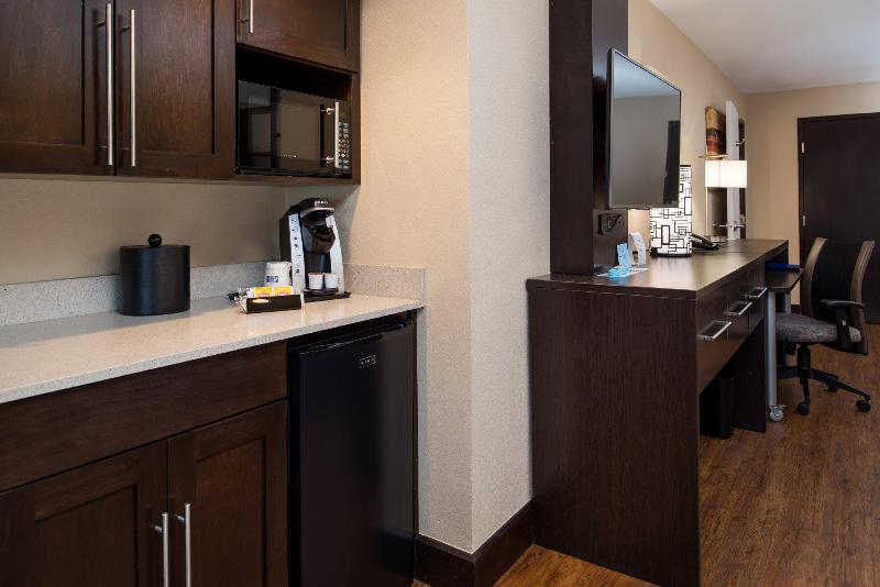 장애인을 위한 킹사이즈 침대 스탠다드 룸, Holiday Inn Express & Suites San Antonio Medical Center North, An Ihg