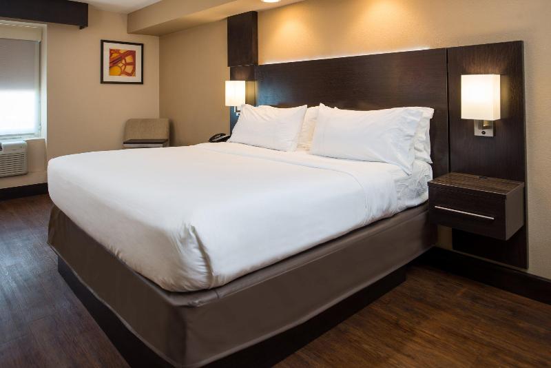 스탠다드 룸 킹사이즈 침대, Holiday Inn Express & Suites San Antonio Medical Center North, An Ihg