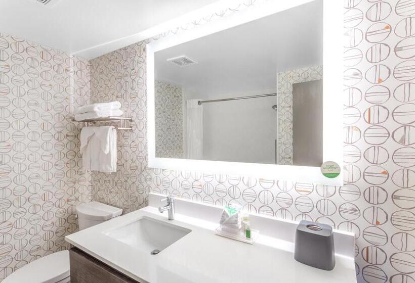 Quarto Standard Cama King, Holiday Inn Rockford, An Ihg