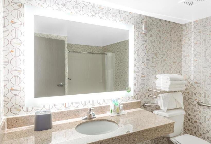 适合残疾人士使用的带超级大床的标准间, Holiday Inn Rockford, An Ihg