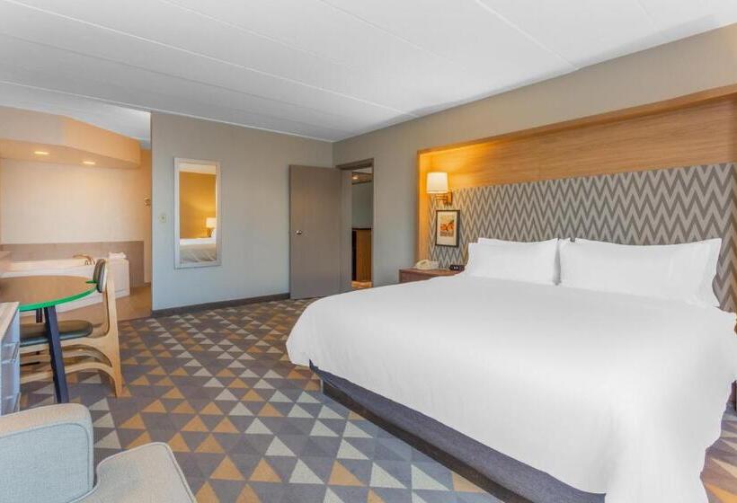 套房, Holiday Inn Rockford, An Ihg