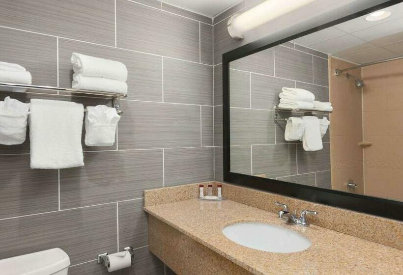 Стандартный Номер Кровать Кинг, Ramada By Wyndham Rochelle Park Near Paramus