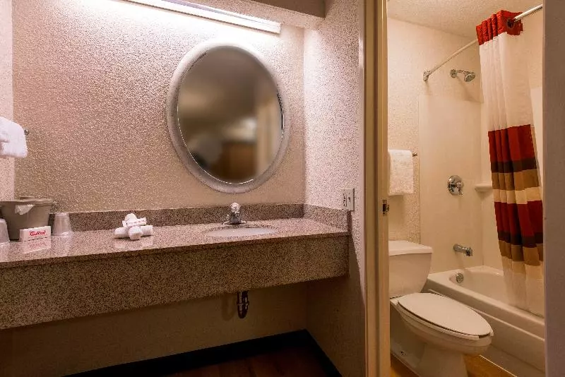 اتاق استاندارد با تخت بزرگ, Red Roof Inn Albany Airport