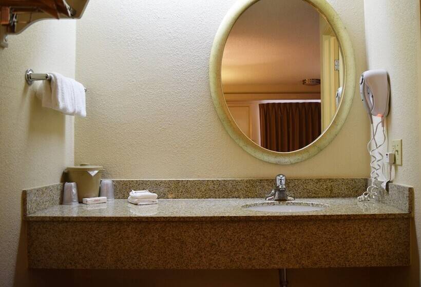 デラックスルーム, Red Roof Inn Buffalo  Niagara Airport