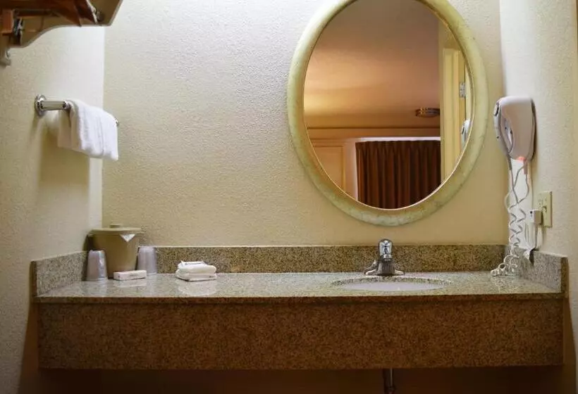 キングサイズベッドのスーペリアルーム, Red Roof Inn Buffalo  Niagara Airport