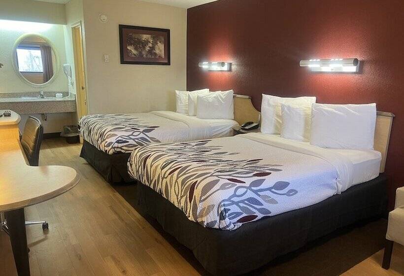 デラックスルーム, Red Roof Inn Buffalo  Niagara Airport