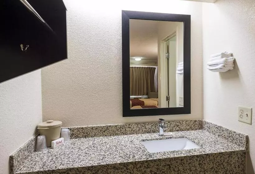 デラックスルーム, Red Roof Inn Chicago Ohare Airport Arlington Hts