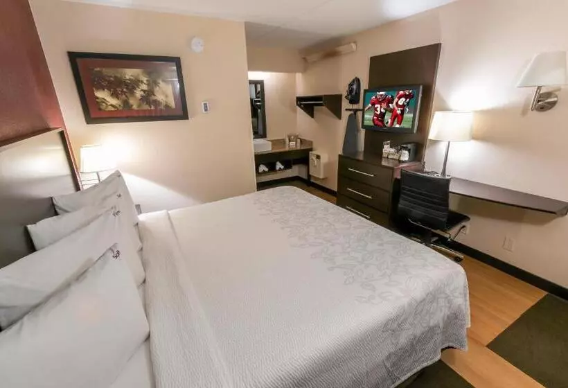 キングサイズベッドのスタンダードルーム, Red Roof Inn Plus+ Columbus Ohio State University Osu
