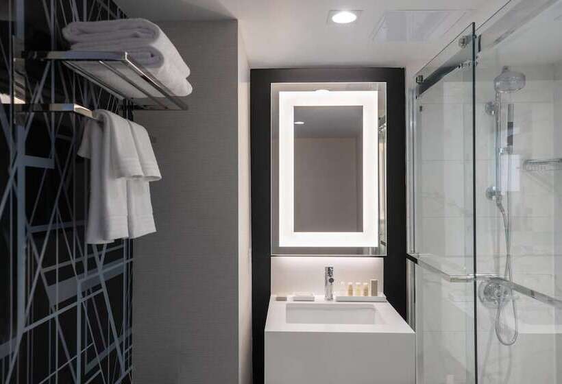 带2个双人床的标准工作室, Renaissance Des Moines Savery