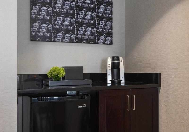 带大床的标准工作室, Renaissance Des Moines Savery