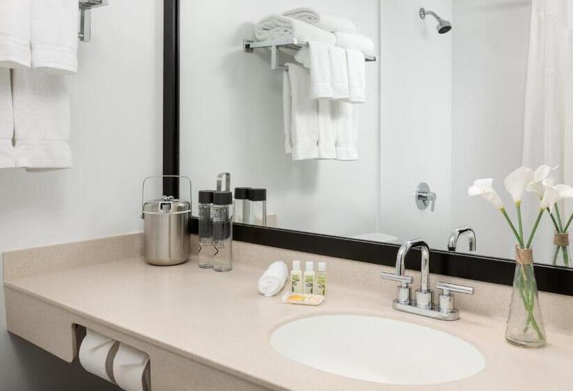 Номер Стандарт Кровать Кинг Адаптированный для Инвалидов, Studio Allston Hotel Boston