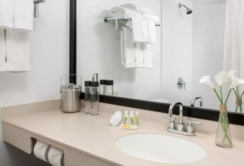 استودیوی استاندارد, Studio Allston Hotel Boston