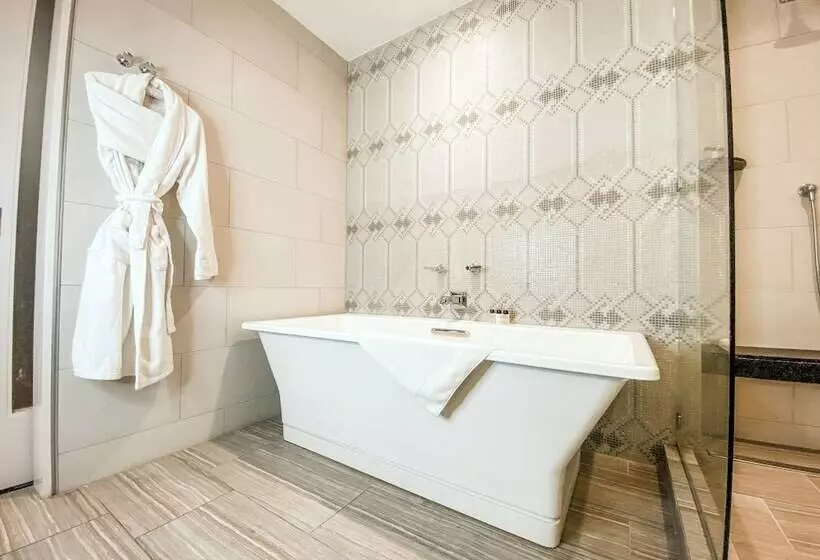سوییت جونیور, The St. Anthony, A Luxury Collection Hotel, San Antonio