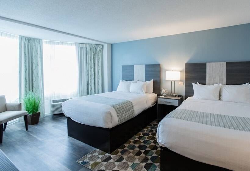 غرفه قياسيه سريرين مزدوجين, Sea Crest Beach Resort