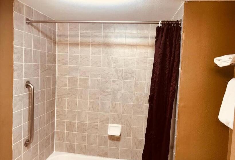 身障者適用スタンダードルーム, Americas Best Value Inn Laredo