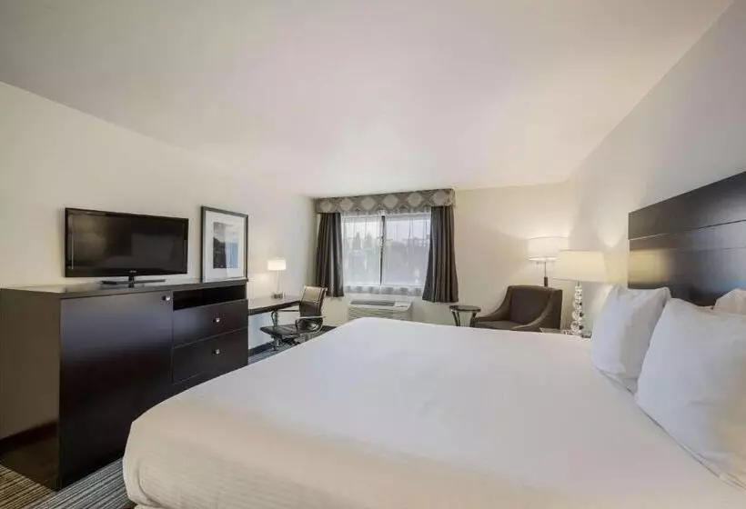 キングサイズベッドのスタンダードルーム, Best Western Alderwood