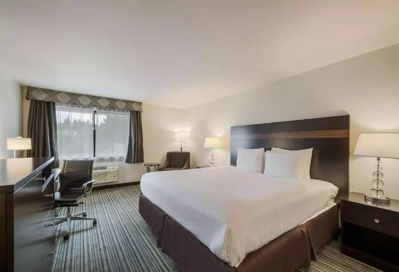 キングサイズベッドのスタンダードルーム, Best Western Alderwood