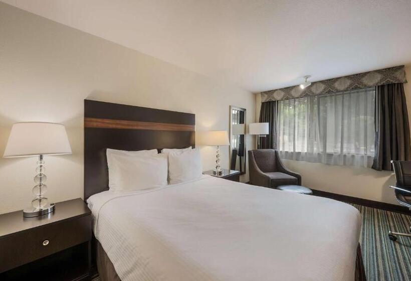 标准间, Best Western Alderwood