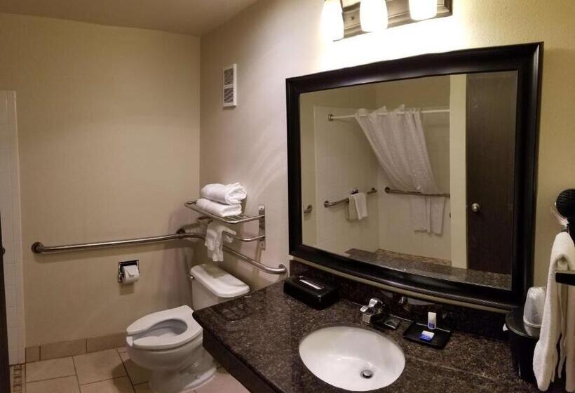 适合残疾人士使用的带超级大床的标准间, Best Western Alderwood