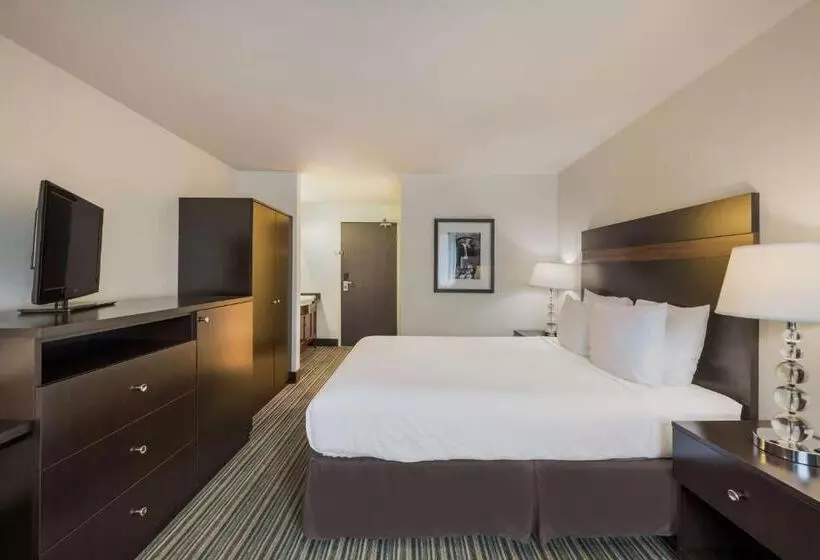 身障者適用キングサイズベッドルーム, Best Western Alderwood