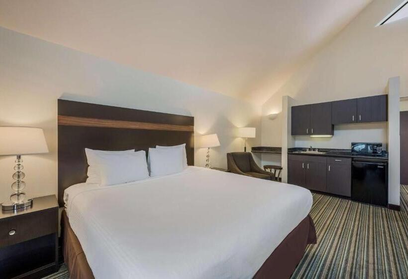 适合残疾人士使用的带超级大床的标准间, Best Western Alderwood