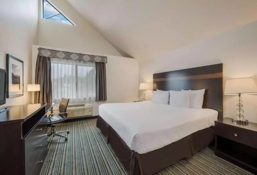 身障者適用キングサイズベッドルーム, Best Western Alderwood