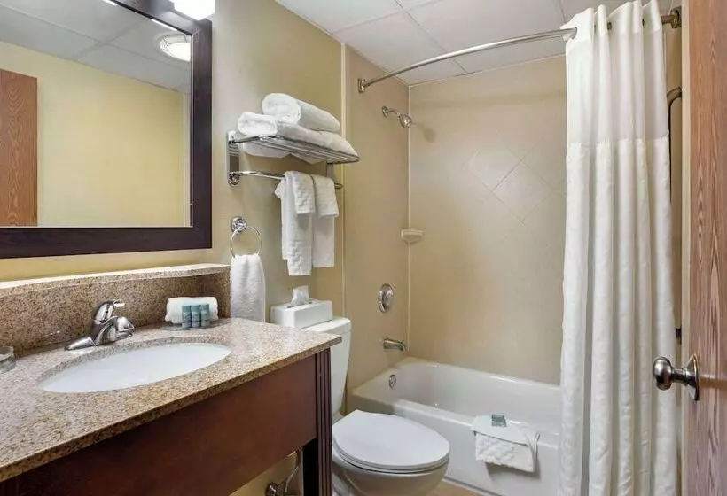 ２ダブルベッドのスタンダードルーム, Best Western Plus The Inn At Sharon/foxboro